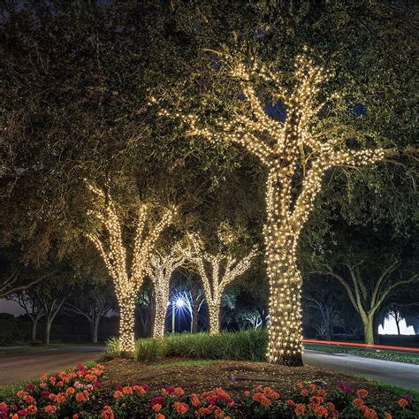 Fairy Lights - Warm Light - Walmart.com | Outdoor tree lighting ...