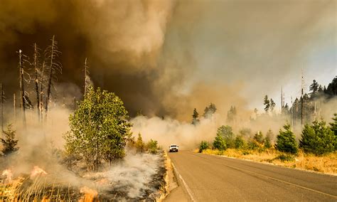 Here’s how wildfire smoke affects the body — and how you can protect ...