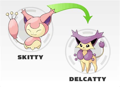 Pokemon Skitty Evolution