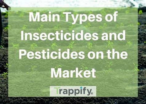 Main Types of Insecticides and Pesticides on the Market - Trappify