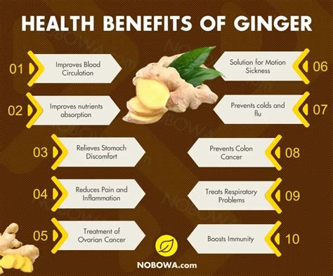 Ten Health Benefits of Ginger | by OlumoRockTV | Medium