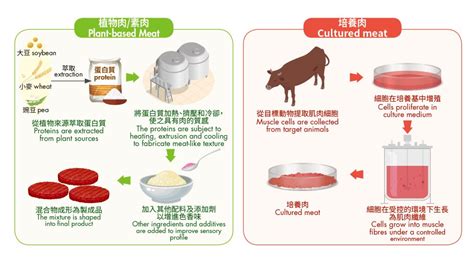 人造肉，有望助力新的食材革命？（细胞培育肉篇）_生产