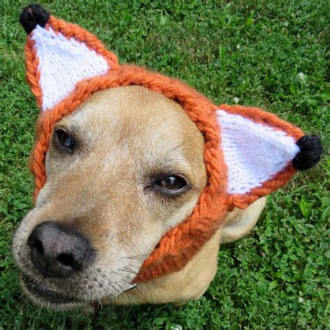 Small And Large Dog Costumes For Every Occasion - NoveltyStreet