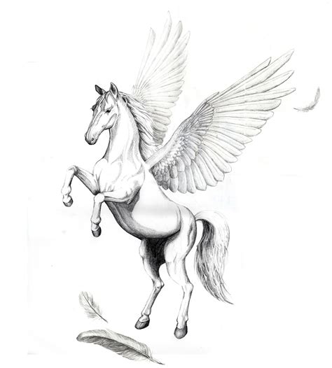 Pin by Diane Bruno on Tattoos | Pegasus tattoo, Horse tattoo design ...