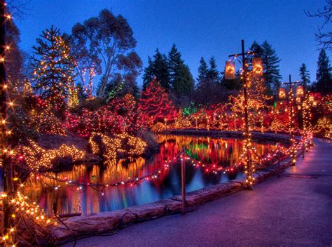 Van Dusen Gardens Festival Of Lights Tickets 2024 Ford - Inna Renata