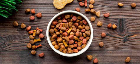 New report: Global Pet Food Ingredients Market forecast 2019-2025 - WhaTech