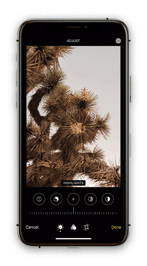 How to Edit Photos on iPhone for the Look You Want | Iphone photos ...