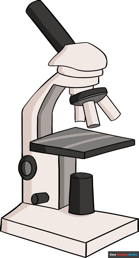 44 microscope drawing labeled