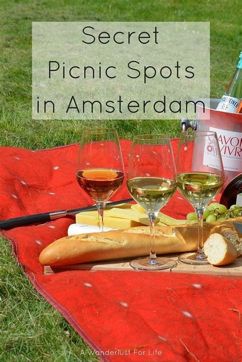 Secret Picnic Spots in Amsterdam - A Wanderlust For Life | Picnic spot, Picnic, Traveling by ...