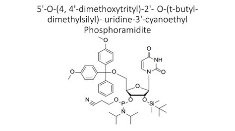 RNA Phosphoramidites - Akonscientific