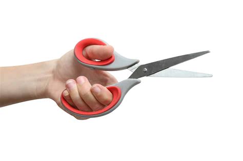 22 Different Types of Scissors and Their Uses (with Pictures) - Homenish