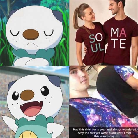 Oshawott : r/pokememes