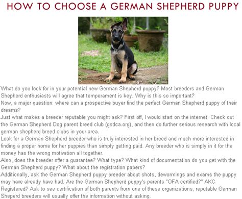 Tips to choose your German Shepherd Puppy