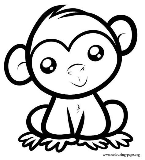 Wikeyezhuka.com | Monkey coloring pages, Easy animal drawings, Monkey drawing cute