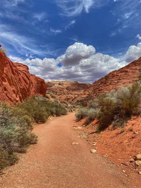 Buckskin Gulch: Tips & Tricks for Navigating Utah’s Best Slot Canyon