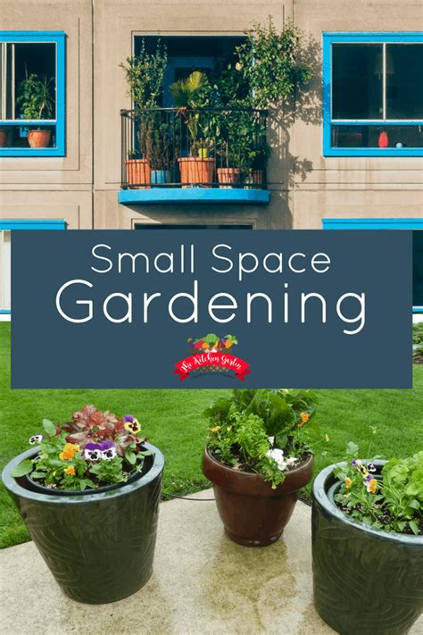 Small Space Gardening Tips - The Kitchen Garten