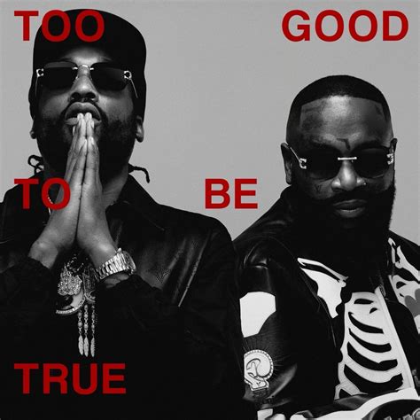 Rick Ross & Meek Mill - Too Good To Be True - User Reviews - Album of ...