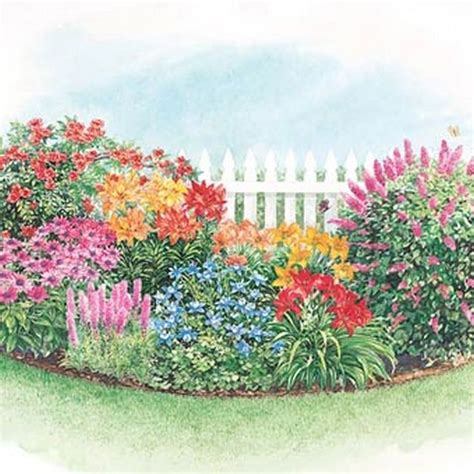 85+ Trend About Hummingbird Garden Ideas | Hummingbird garden plan, Butterfly garden design ...