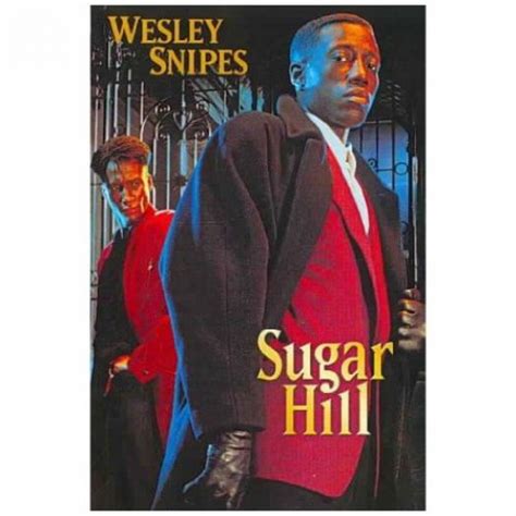 Sugar Hill (DVD) - Nokomis FunShop