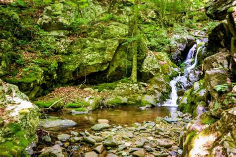 The Best Waterfalls In Shenandoah National Park