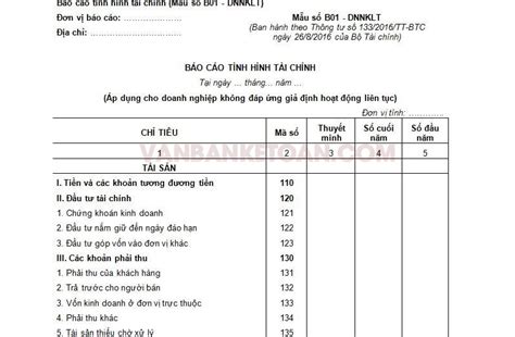 mau-bao-cao-tai-chinh-noi-bo