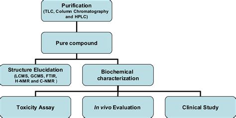 Extraction, isolation and characterization of bioactive compounds from ...