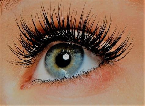 The 3 Things Your Eye Doctor Wishes you Knew about Eyelash Extensions