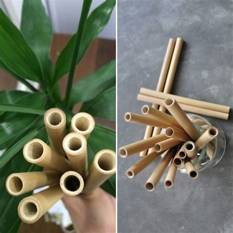 Bamboo Straw – iCYCLE Reward Store