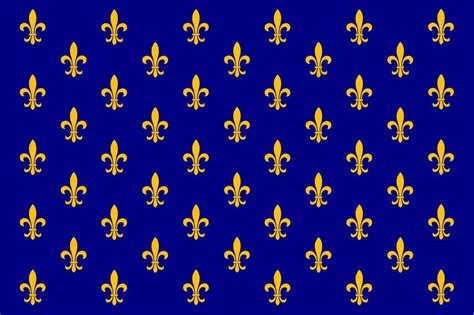 Medieval French Flag