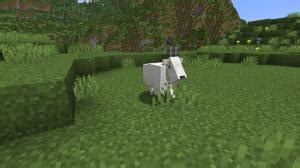 Minecraft Goats: Everything You Need to Know (2022) | Beebom