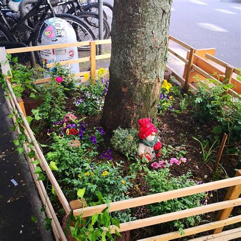 Guerilla Garden in Hamburg 🏻 | Guerrilla gardening, Urban garden, Cool plants