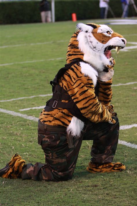 Jackson State Tigers mascot | Mascot, Jackson state, Jackson state ...