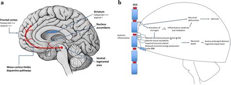 Haloperidol and delirium in the ICU: the finger pointing to the moon ...