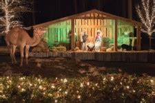 Baby Jesus Manger Scene Free Stock Photo - Public Domain Pictures