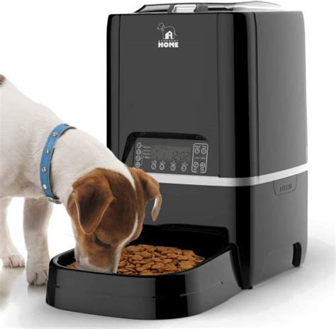 Top 10 Best Automatic Dog Feeders in 2022 and Buying Guide