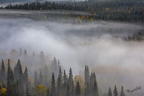 Flickriver: Searching for photos matching 'kuusamo'