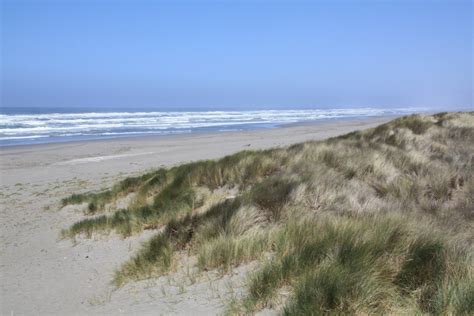 Friends of the Dunes Beach in Arcata, CA - California Beaches