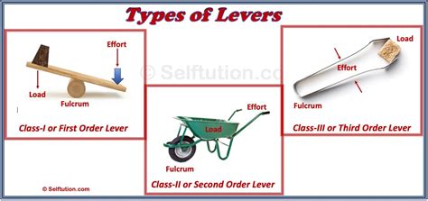 Three Types Of Levers