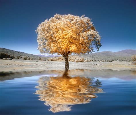 Tutorial: How To Transform Your Landscape Photos Into Surreal Infrared ...