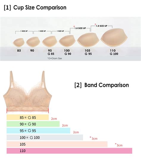 Bra Cup Sizes In Between