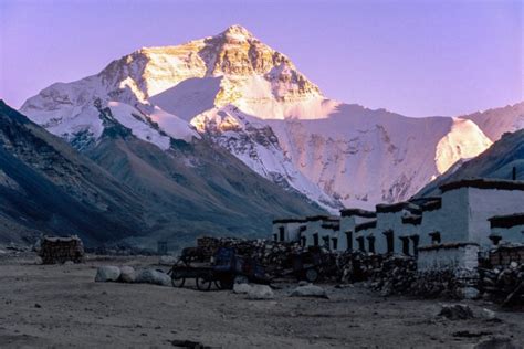 Himalayan study bears abominable results for Yeti enthusiasts