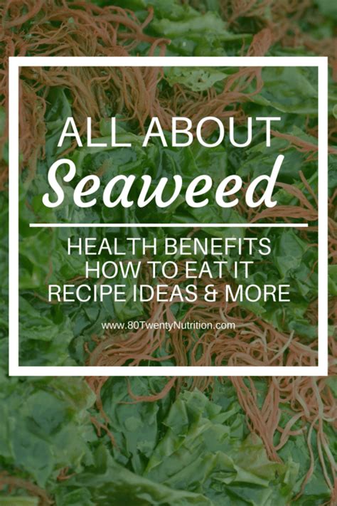 All about Seaweed – Seaweed Health Benefits & How to Eat It!