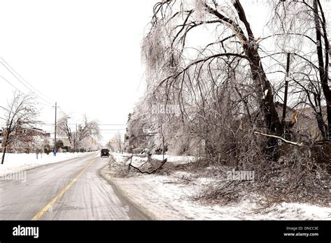 Toronto, Canada. 22nd Dec 2013. Overnight ice storm knocks down Stock Photo: 64811810 - Alamy