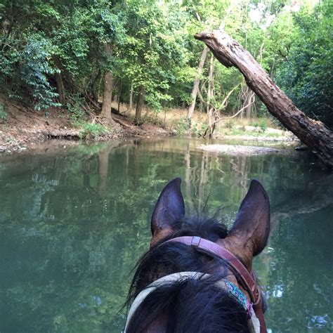 Lessons – Maverick Horseback Riding