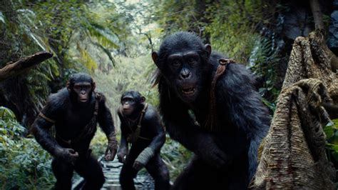 Kingdom of the Planet of the Apes Release Date Moves to Avoid Furiosa