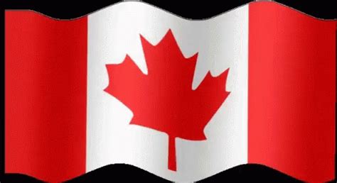 Canada Maple Leaf GIF - Canada Maple Leaf Flag - Discover & Share GIFs