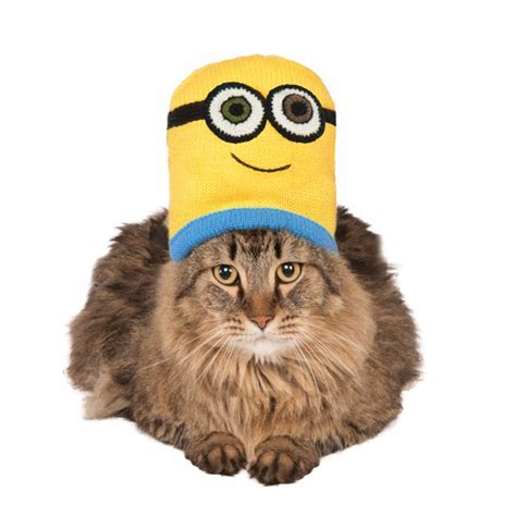 Minion Knit Cat Hat Costume - Bob | BaxterBoo