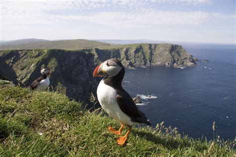 NEWFOUNDLAND & LABRADOR