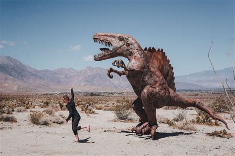 Anza-Borrego Desert Visitor's Guide - Attractions, Campgrounds, & Hikes