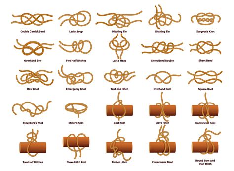 Sailing ship rope knots, nautical sailor tie bow 24082548 Vector Art at Vecteezy